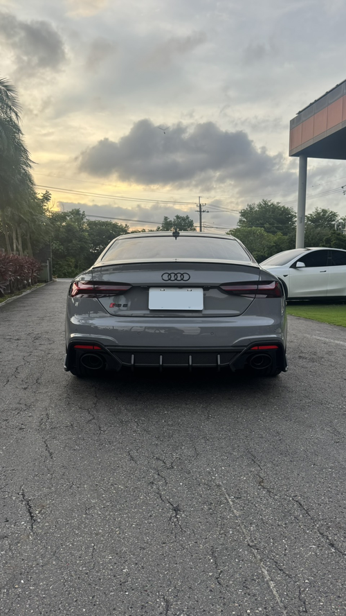 Gray Audi RS5 Sportback featuring a REVOZPORT carbon fiber front lip, side skirts, and aggressive front aero styling parked outdoors near tropical landscaping.