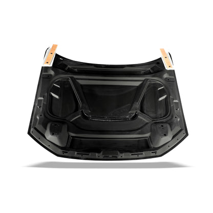 Audi RS6 C8 Carbon Fiber Hood