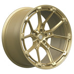 gloss-champagne-gold