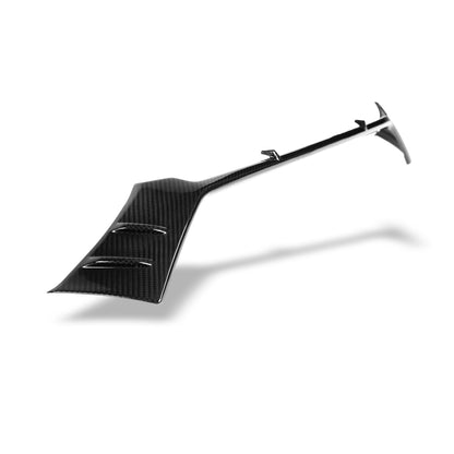 Audi RS6 C8 Carbon Fiber Front Grill