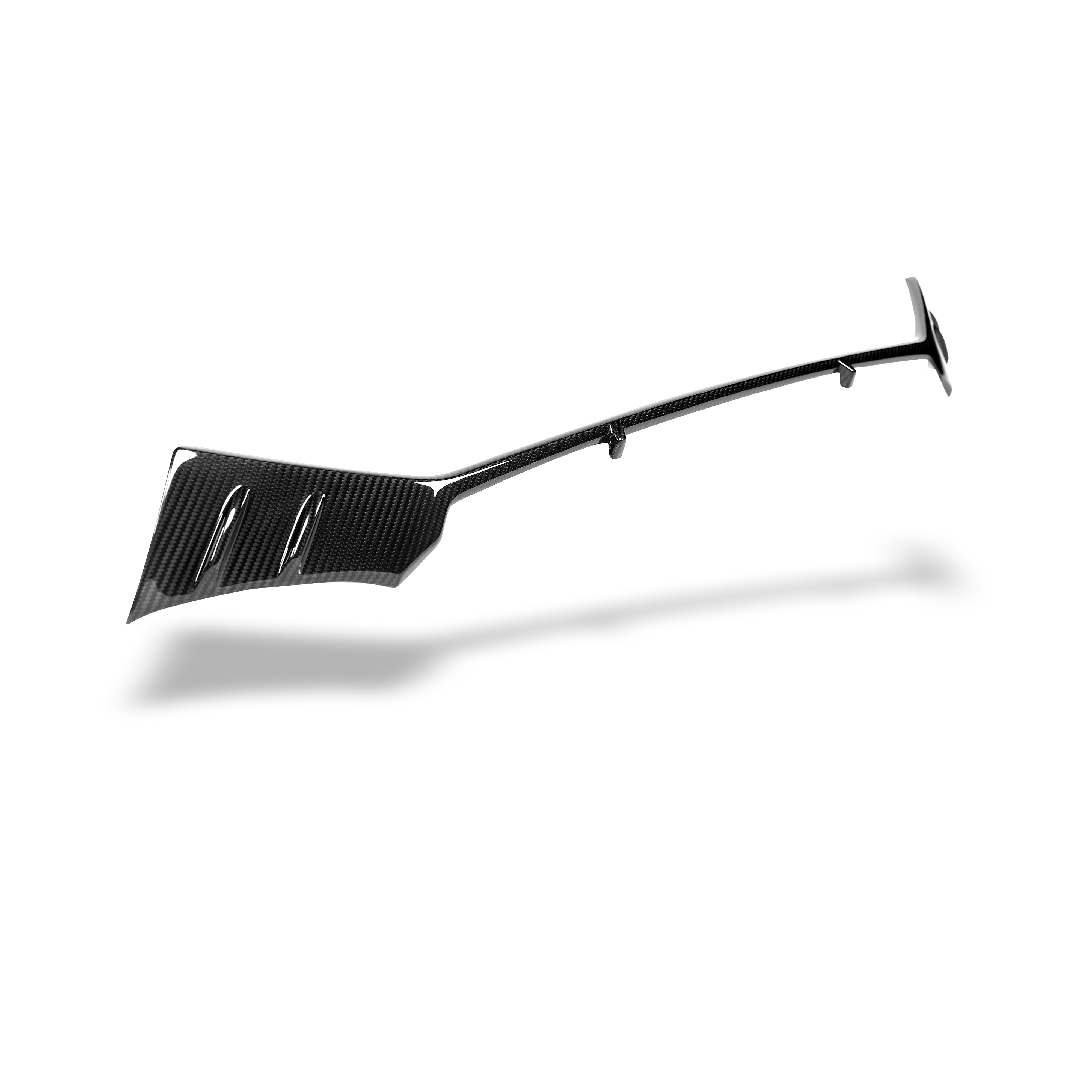 Audi RS6 C8 Carbon Fiber Front Grill